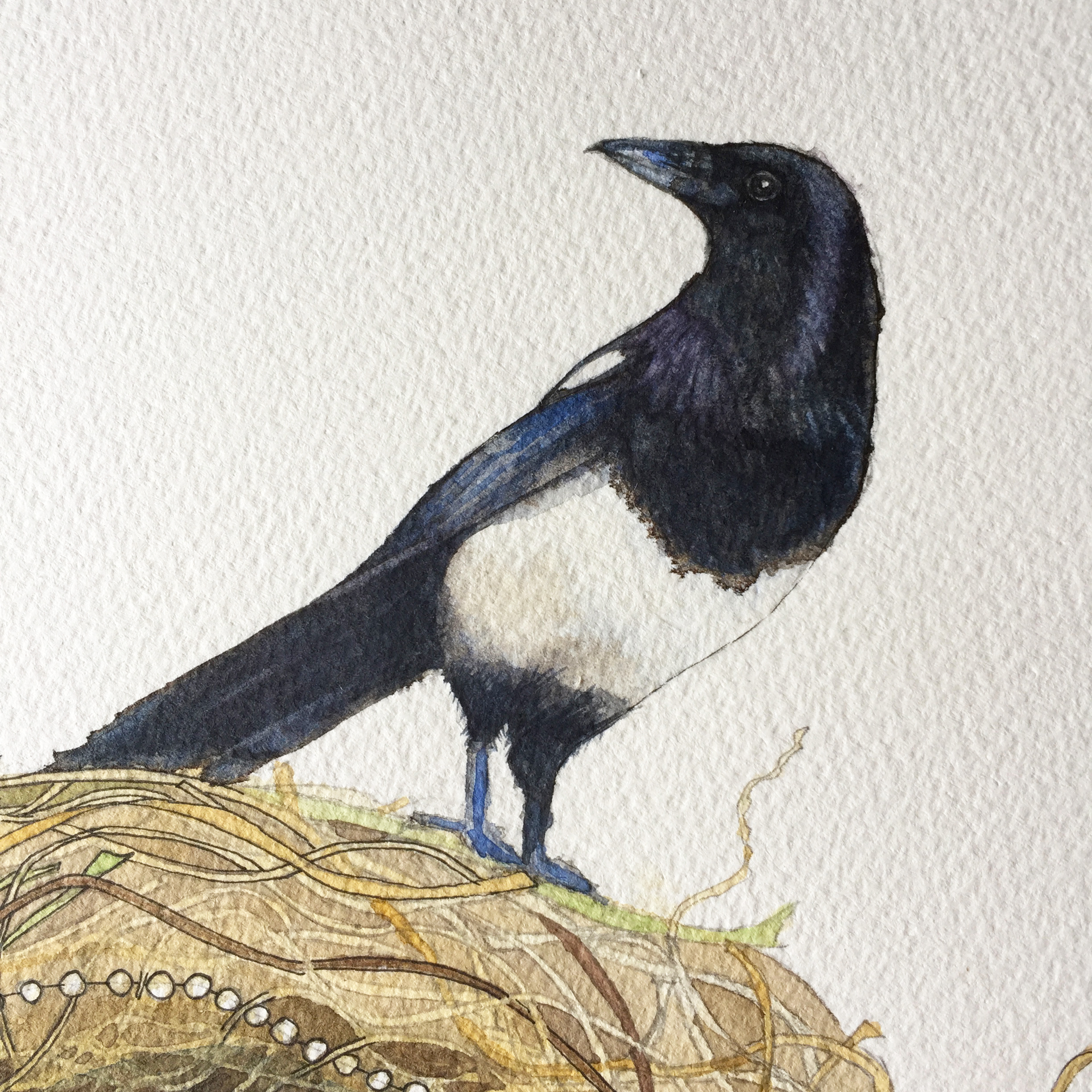 A close up image of the detail of the Magpie Watercolour Painting