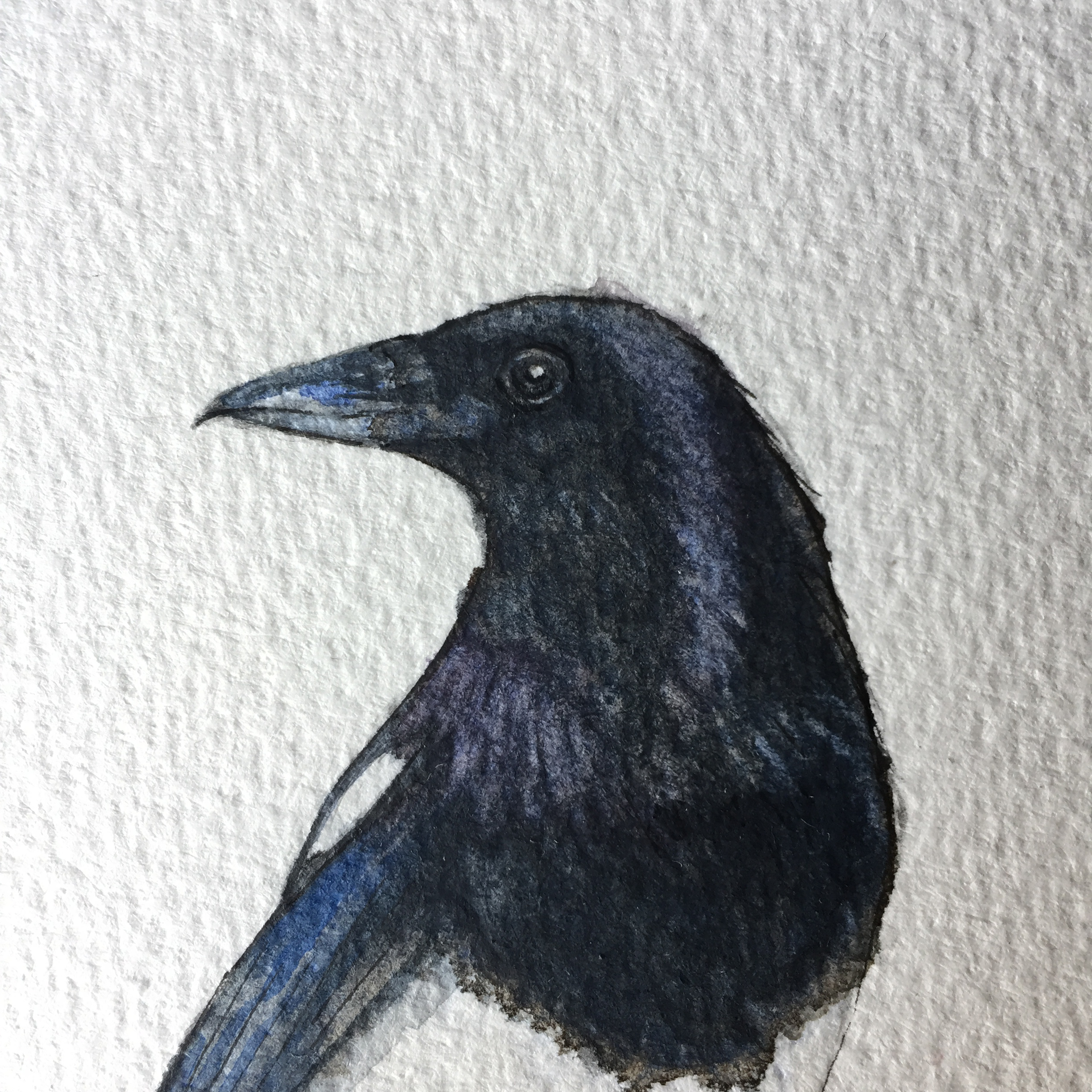 A close up of the finished magpie painting