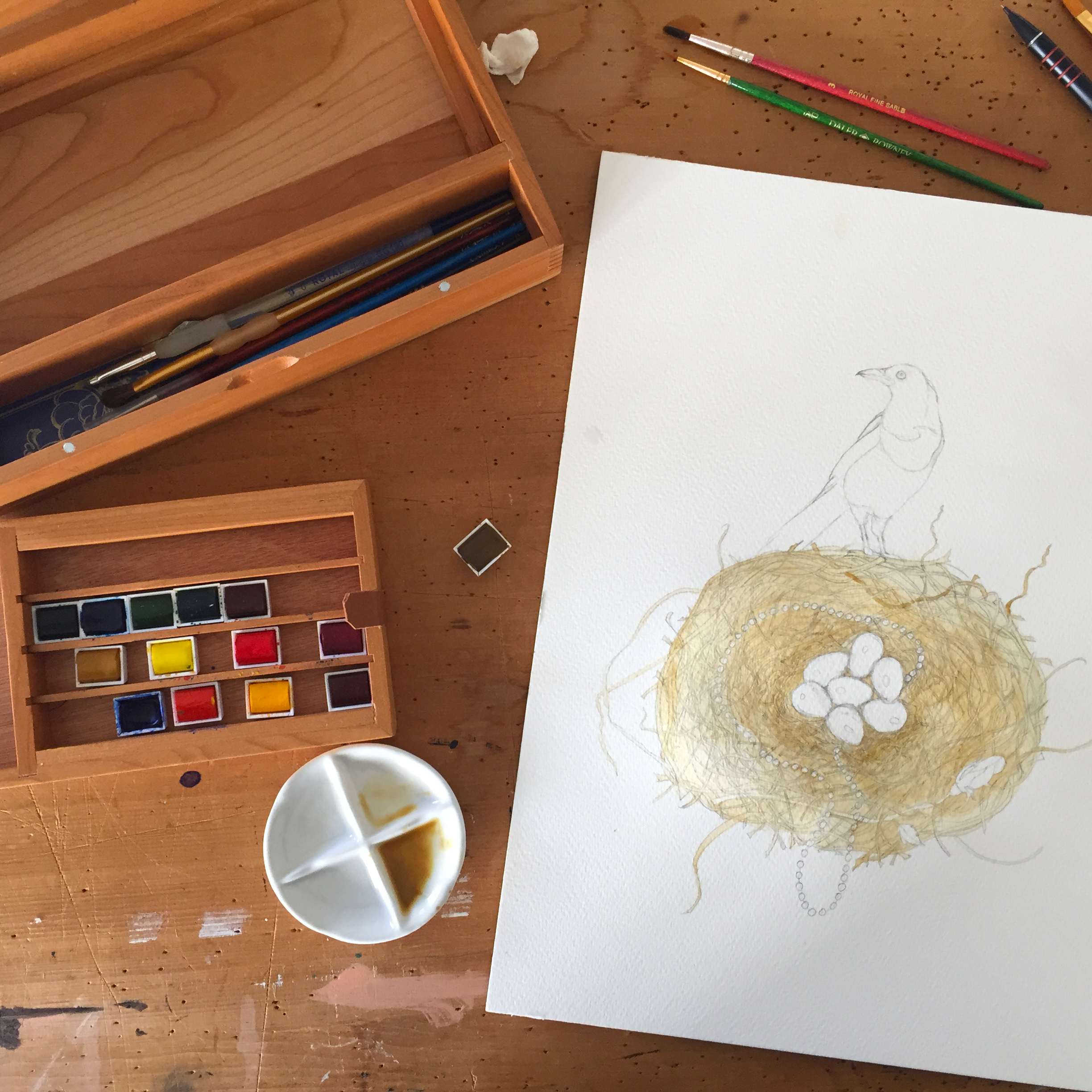 A photograph of the nest in the process of being painted with watercolours