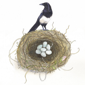 A watercolour illustration of a magpie and nest containing seven eggs. Painted on cold press watercolour paper.