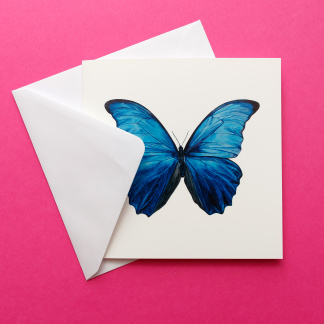Picture of Morpho Butterfly Blank Greeting Card from Original Watercolour Artwork
