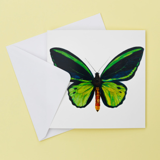 Picture Of Birdwing Butterfly Blank Greeting Card from Original Watercolour Artwork