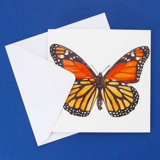 Picture Of Monarch Butterfly Blank Greeting Card from Original Watercolour Artwork