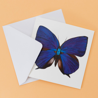 Picture Of Oakblue Butterfly Blank Greeting Card from Original Watercolour Artwork