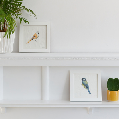 Watercolour paintings of a Bearded Tit and a Great Tit. The paintings are in a white wooden square frames and are placed on a white fireplace. Next to them is green potted succulent in a small yellow pot and a green plant in a white geometic pot.