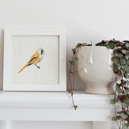 A watercolour painting of a Bearded Tit. The orange & black bird grasps onto blind embossed reeds. The painting is in a white wooden frame which is placed on a white fireplace. Next to the bird is a string of hearts plant in a white face plant pot.