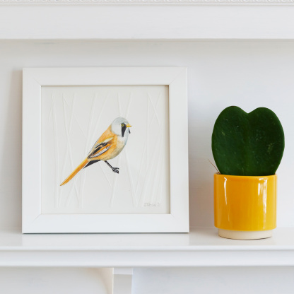 A watercolour painting of a Bearded Tit. The orange & black bird grasps onto blind embossed reeds. The painting is in a white wooden frame which is placed on a white fireplace. Next to the bird is green potted succulent in a small yellow pot.