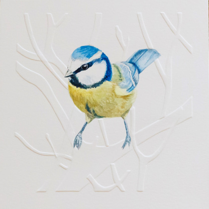 A watercolour painting of a Blue Tit (Cyanistes caeruleus). The blue & yellow bird rests on blind embossed branches and twigs. The bird has a white face with a blue helmet. The bird has a small yellow body with blue wings and tail.