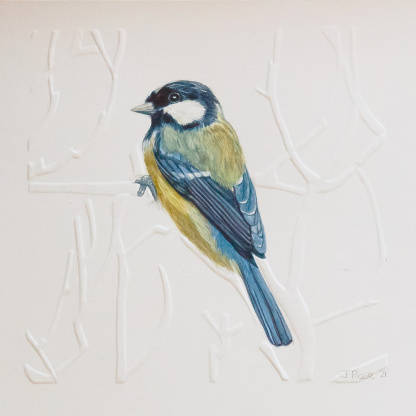 A watercolour painting of a Great Tit (Parus major). The blue & yellow bird grasps onto blind embossed branches. The bird has a blue head with white cheaks. It has an yellow body with blue wings and tail.