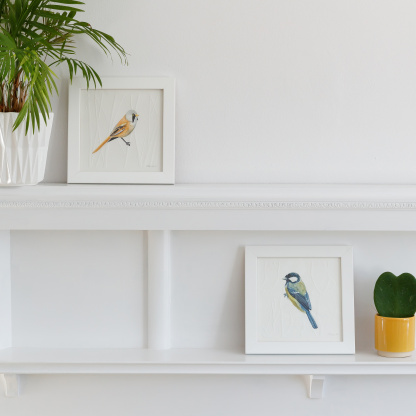 Watercolour paintings of a Bearded Tit and a Great Tit. The paintings are in a white wooden square frames and are placed on a white fireplace. Next to them is green potted succulent in a small yellow pot and a green plant in a white geometic pot.