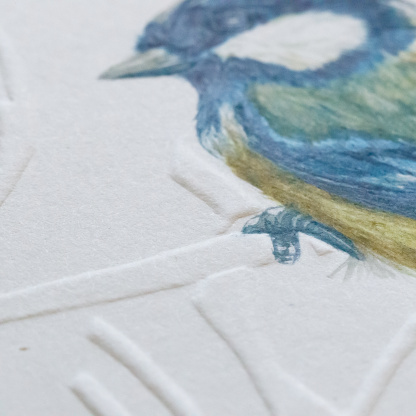 A watercolour painting of a Great Tit (Parus major). The blue & yellow bird grasps onto blind embossed branches. The focus is on the birds head and wing. The photograph is angled to highlight the embossing on the branches.