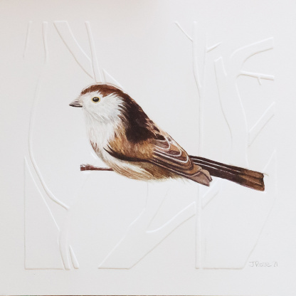 A watercolour painting of a Long Tailed Tit (Aegithalos caudatus). The brown & white bird grasps onto blind embossed branches. The bird has a white head with a brown helmet. It has an brown body with a white breast.