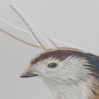 A watercolour painting of a Long Tailed Tit (Aegithalos caudatus). The brown & white bird grasps onto blind embossed branches. The focus is on the birds head and wing. The photograph is angled to highlight the embossing on the branches.