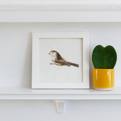 A watercolour painting of a Long Tailed Tit. The brown & white bird grasps onto blind embossed branches. The painting is in a white wooden frame which is placed on a white fireplace. Next to the bird is green potted succulent in a small yellow pot.