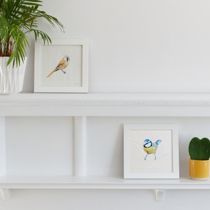 Watercolour paintings of a Bearded Tit and a Blue Tit. The paintings are in a white wooden square frames and are placed on a white fireplace. Next to them is green potted succulent in a small yellow pot and a green plant in a white geometic pot.