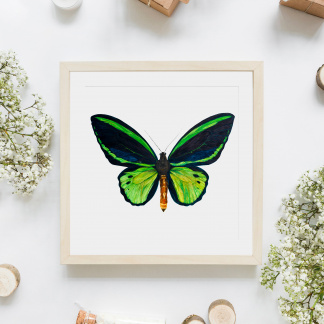 An saturated & brightly coloured square watercolour painting of a Common Green Birdwing (Ornithoptera priamus) Butterfly in a light frame against a white background. The painting is surrounded by white flowers, logs, bottles and plain brown parcels.