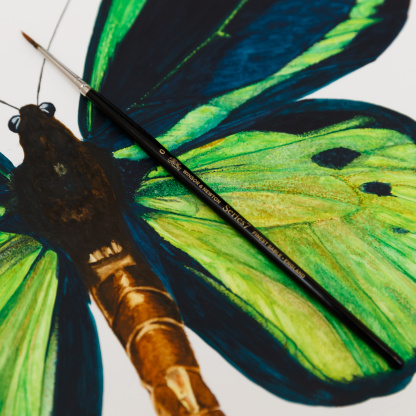 A close-up of the detail of the green Common Green Birdwing butterfly watercolour painting. The focus is on the head of the butterfly and the grass green of the wing which is punctuated with inky blue lines and details.