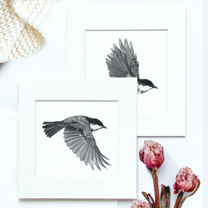 A art print of a Coal Tit (Periparus ater) in flight. The bird has its wings down. The square print has a white paper frame around it & lays on another print of a bird with its wings up. The prints are surrounded with pink peonies and a chunky knit.