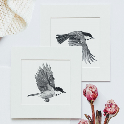 A art print of a Coal Tit (Periparus ater) in flight. The bird has its wings up. The square print has a white paper frame around it & lays on another print of a bird with its wings down. The prints are surrounded with pink peonies and a chunky knit.