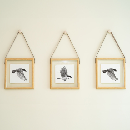 Three pencil drawings of a Coal Tit in flight. The paintings are in a wooden square frames and hang on a white painted wall.