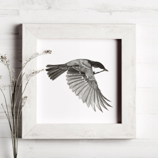 A pencil drawing of a Coal Tit (Periparus ater) in flight. The black and white bird is depicted flying with its wings down. The painting is in a white wooden frame which is placed on a white background. Next to the bird is bunch of white flowers.