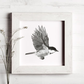 A pencil drawing of a Coal Tit (Periparus ater) in flight. The black and white bird is depicted flying with its wings up. The painting is in a white wooden frame which is placed on a white background. Next to the bird is bunch of white flowers.