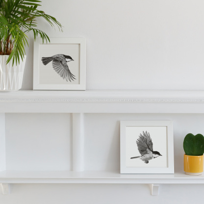 Two pencil drawings of a Coal Tit in flight. The paintings are in a white wooden square frames and are placed on a white fireplace. Next to them is green potted succulent in a small yellow pot and a green plant in a white geometic pot.