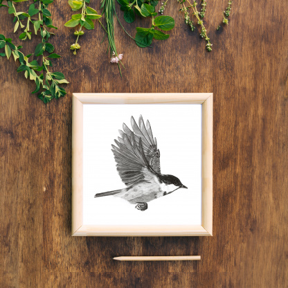 A pencil drawing of a Coal Tit (Periparus ater) in flight. The black and white bird is depicted flying with its wings up. The painting is in a wooden frame on a wooden background. Above the drawing is some green & pink flowers and below is a pencil.
