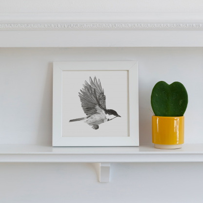 A pencil drawing of a Coal Tit (Periparus ater) in flight. The black and white bird is depicted flying with its wings up. The drawing is in a white wooden frame which is placed on a white fireplace. Next to the bird is green potted succulent in a small yellow pot.