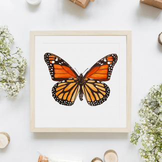 An saturated and brightly coloured square watercolour painting of a orange Monarch (Danaus plexippus) Butterfly in a light frame against a white background. The painting is surrounded by white flowers, logs, bottles and plain brown parcels.