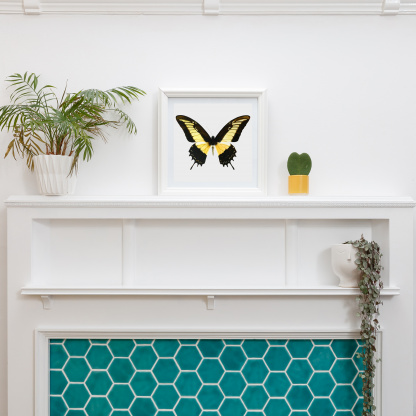 A lifestyle shot of a square watercolour painting of a yellow Queen Swallowtail butterfly. The bright colourful painting sits on a white fireplace with bright sea blue hexagon tiles. Three plants also sit on the fireplace.