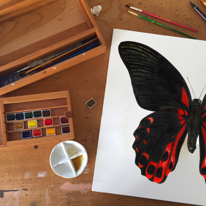 A detailed, brightly coloured watercolour painting of an red Scarlet Mormon butterfly (Papilio rumanzovia) on a wooden table. On the table is a paint pallet covered in paints and paint brushes.