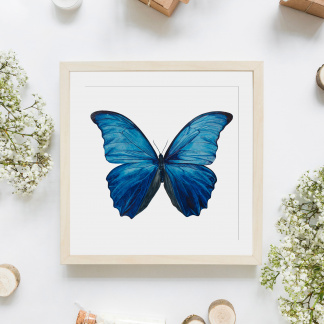 An saturated and brightly coloured square watercolour painting of a Giant Blue Morpho (Morpho didius) Butterfly framed in a light frame against a white background. The painting is surrounded by white flowers, logs, bottles and plain brown parcels.
