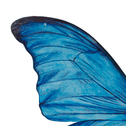 A close-up of the detail of the blue morpho butterfly watercolour painting. The focus is on the wing tip of the butterfly and the electric blue which is punctuated with inky blue lines and details.