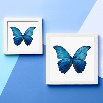 A comparison photograph of the difference between the 12in and 8in versions of the watercolour butterfly painting. The photographs show an example of the bright, detailed painting with a mount in a white frame. The frames are on a blue background.